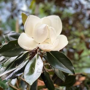 Meet your Posher, Gurpreet-veenu